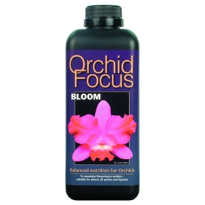 Orchid Focus bloom 1l